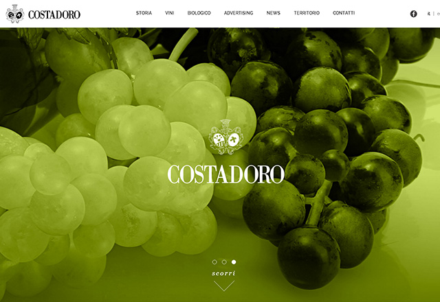 vinicostadoro